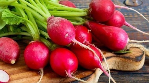 Propiedades y beneficios del rábano